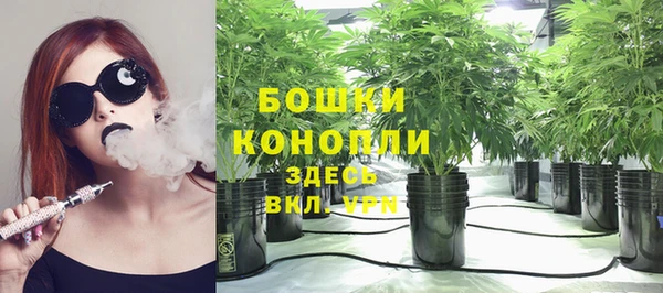 ПСИЛОЦИБИНОВЫЕ ГРИБЫ Вязьма